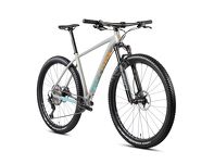 Rower MTB 29