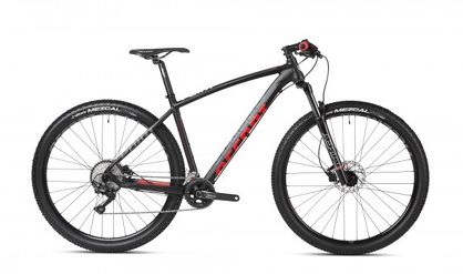 Rower MTB 29" Accent Point Deore
