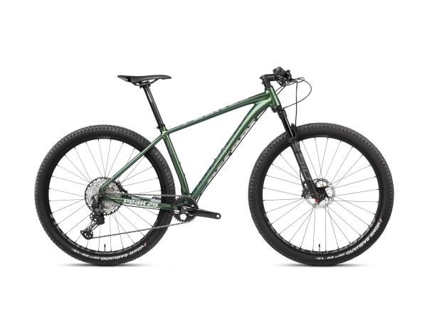 Rower MTB 29