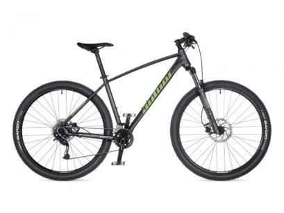 Rower MTB 29'' Author Pegas