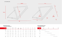 Rama szosowa ACCENT Cyclone Carbon Disc - 14