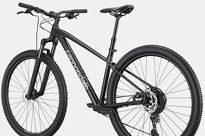 Rower MTB 29'' Cannondale TRAIL 1 - 4