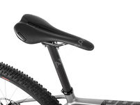 Rower MTB 29'' Accent Peak Carbon Boost EVO XTR + ebon - 2