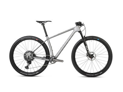 Rower MTB 29'' Accent Peak Carbon Boost EVO XTR + ebon