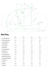 Rower miejski Cannondale Bad Boy 1 - 2