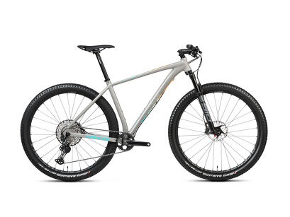 Rower MTB 29" Accent Peak Boost XT + ebon