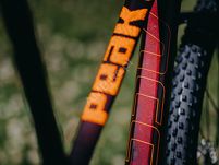 Rama MTB 29'' ACCENT Peak Carbon Boost 148x12mm - 29