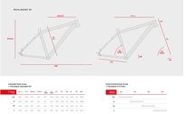 Rower MTB 29