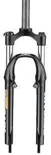 Amortyzator RST Capa T 20" 1"