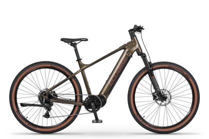 Rower elektryczny MTB Ecobike SX 300 Green - Ubezpieczony