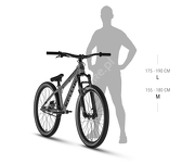 Rower Kellys Whip 10 DX Moonstone Grey 26