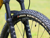 Rower MTB 29