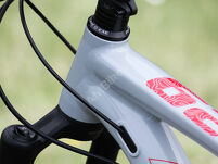 Rower MTB 29