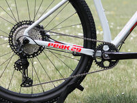Rower MTB 29