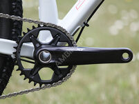 Rower MTB 29