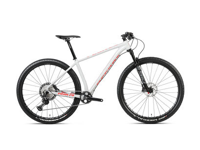 Rower MTB 29" Accent Peak Boost v2 XT + ebon