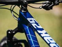Rower MTB 29