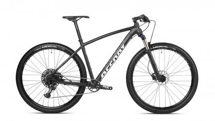 Rower MTB 29" Accent Point NX Eagle