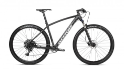 Rower MTB 29" Accent Point NX Eagle