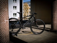 Rower MTB 29