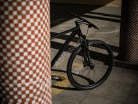 Rower MTB 29
