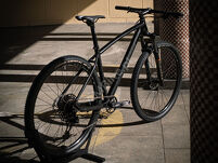 Rower MTB 29