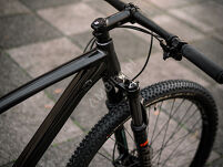 Rower MTB 29