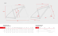 Rower MTB 29
