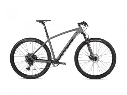 Rower MTB 29" Accent Point SX Eagle + ebon