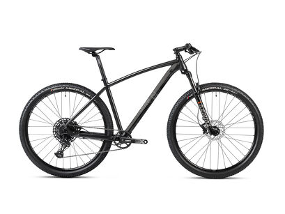 Rower MTB 29" Accent Point SX Eagle + ebon