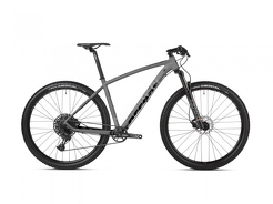 Rower MTB 29" Accent Point SX Eagle + ebon 150
