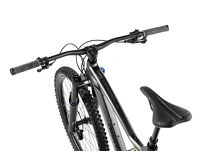 Rower Dartmoor Thunderbird Superenduro Evo 29'' +eBon - 11